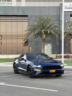 Used Ford Mustang in Muscat
