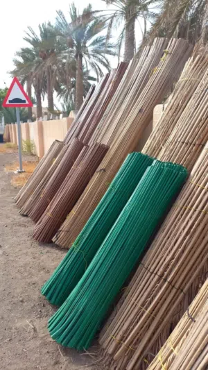دعون عرشان أعواد الخيزران - دعون زور النخيل