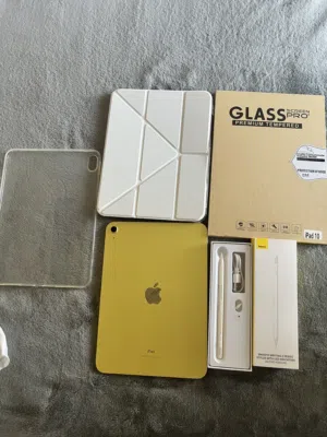 iPad 10 256G