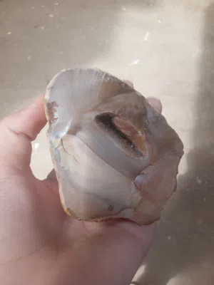 حجر كريم كوارتز