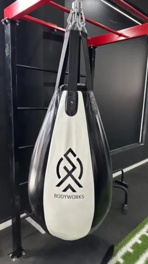 أكياس ملاكمة احترافية عالية الجودة - boxing bags