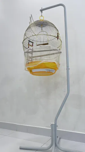 Big Cage  New قفض كبير جديد
