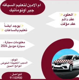 السفين 2024