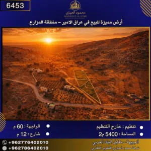 Farm Land for Sale in Amman Iraq Al Ameer