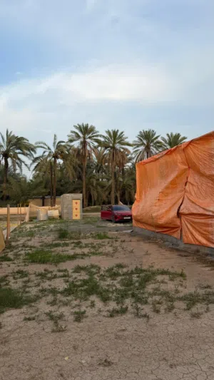 Farm Land for Rent in Al Batinah Sohar