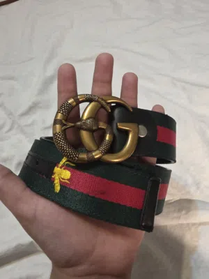 Kingsnake & Bee Web Belt