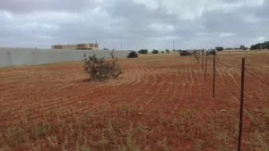 Mixed Use Land for Sale in Benghazi Sidi Khalifa