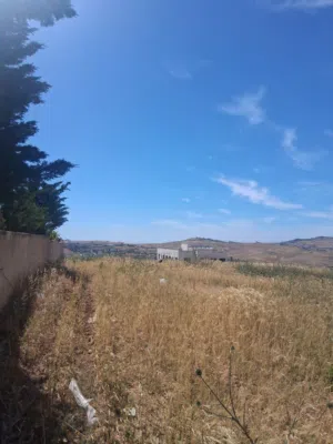 Residential Land for Sale in Amman Shafa Badran
