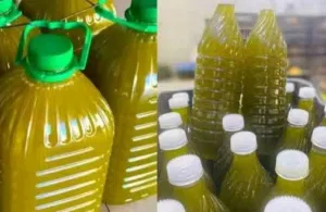 زيت زيتون مكفول من اول قطره لآخر قطره اجبال عجلون العام 2025 60 والسنه 2026 90.