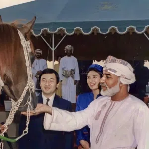 suliman 