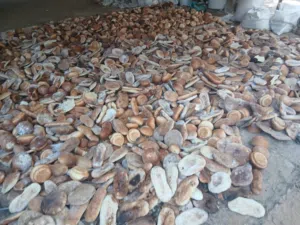 متوفر خبزة رطبة للبيع نظيفة مية مية