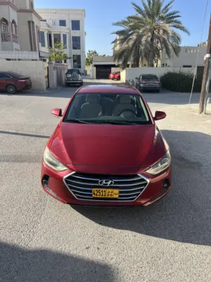 Used Hyundai Elantra in Muscat