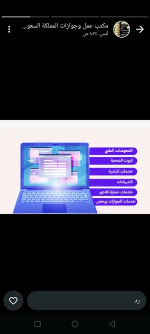 احمد ابو الجود 