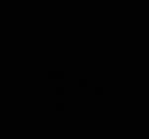 مالك 