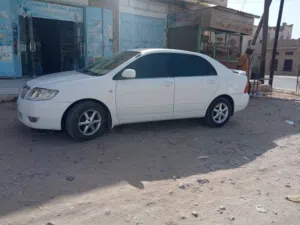 كرلا2006فتحه سقف