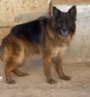 زوز انتي بسعر كزيوني وحرقق مافيش منه بكل