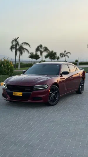 Used Dodge Charger in Muscat