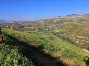 Farm Land for Sale in Jerash Al-Mastaba