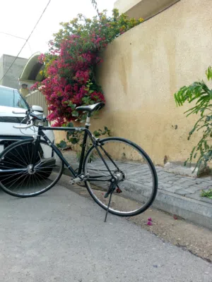 بايسكل دراجة هوائية رياضية من ماركة فوجي الأمريكية Fuji bicycle