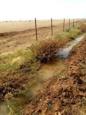 Farm Land for Sale in Khartoum Sharq Al-Nile