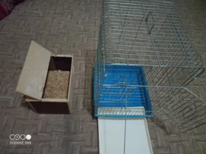 قفص عصفور كناري