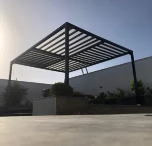 علي 