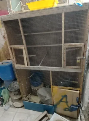 قفص طيور كبير