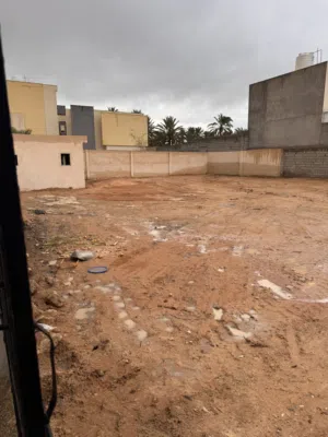 ارض للبيع خلف تريبولي مول الشارع إلا بين البينيا و المشتل