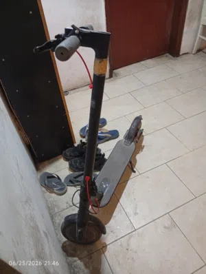 THUNDERBIRD ELECTRIC SCOOTER