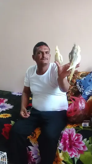 Training & Taming . Birds Training1