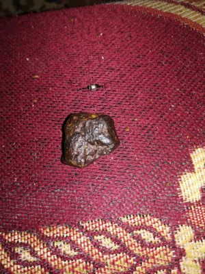 البيع سعت البيع والشراء في