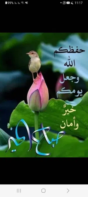 اسامه جمال الشاوش 