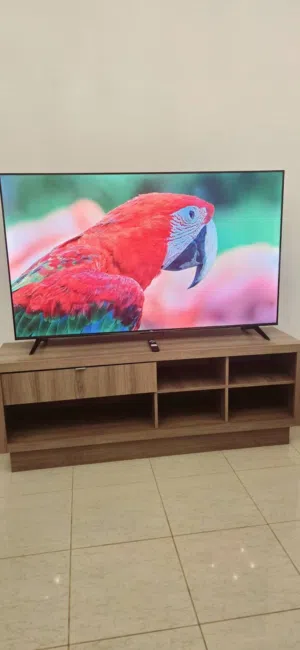 TCL 65 Inches 4K Google Smart LED TV, 65P637