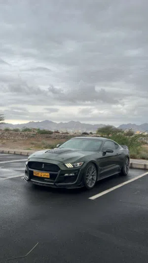 Used Ford Mustang in Muscat