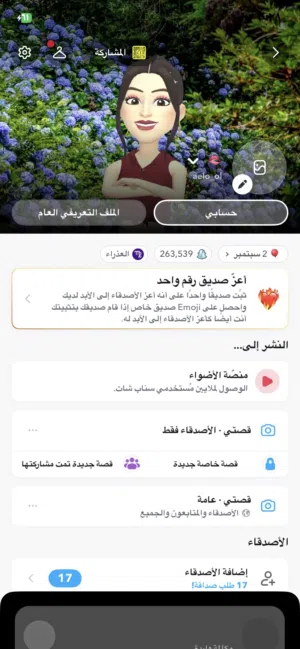 Social Media Accounts and Characters for Sale in Amman