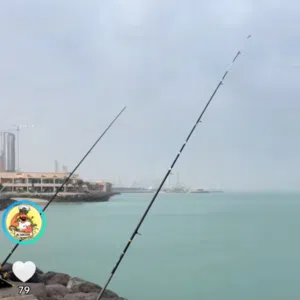 خالد سعود