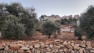 Mixed Use . 750 m2 . Landlord2