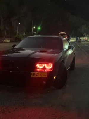 Used Dodge Challenger in Muscat
