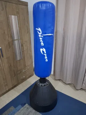 Standing Punching Bag