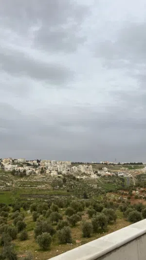 Residential Land for Sale in Amman Badr Jdedeh