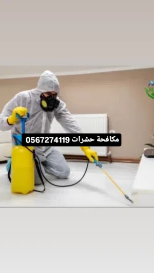 شركة مكافحة رش حشرات بالمدينة المنورة بأفضل خدمة