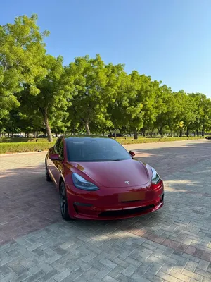 تيسلا ‏موديل 3 ‏Long Range ‏2022