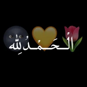 مهند الشحي 