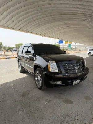 Used Cadillac Escalade in Mubarak Al-Kabeer