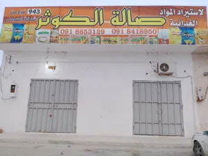 محمد اسكندر 