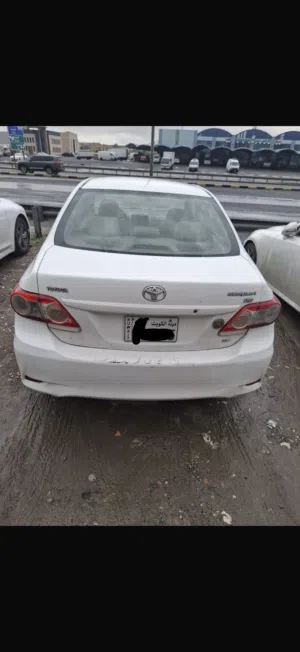 كورولا 2013 ابيض