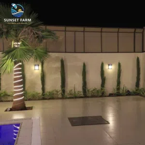 5 Bedrooms Chalet for Rent in Amman Al Jizah