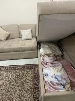 ركنه حرف L