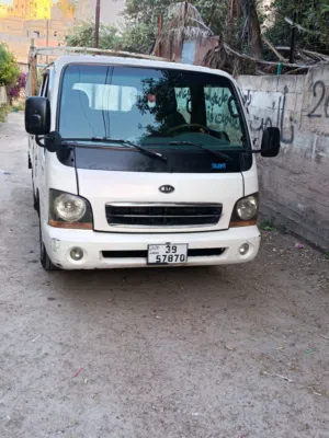 بكم بينجو 2002