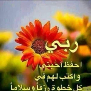 عاطف المنشاوي 